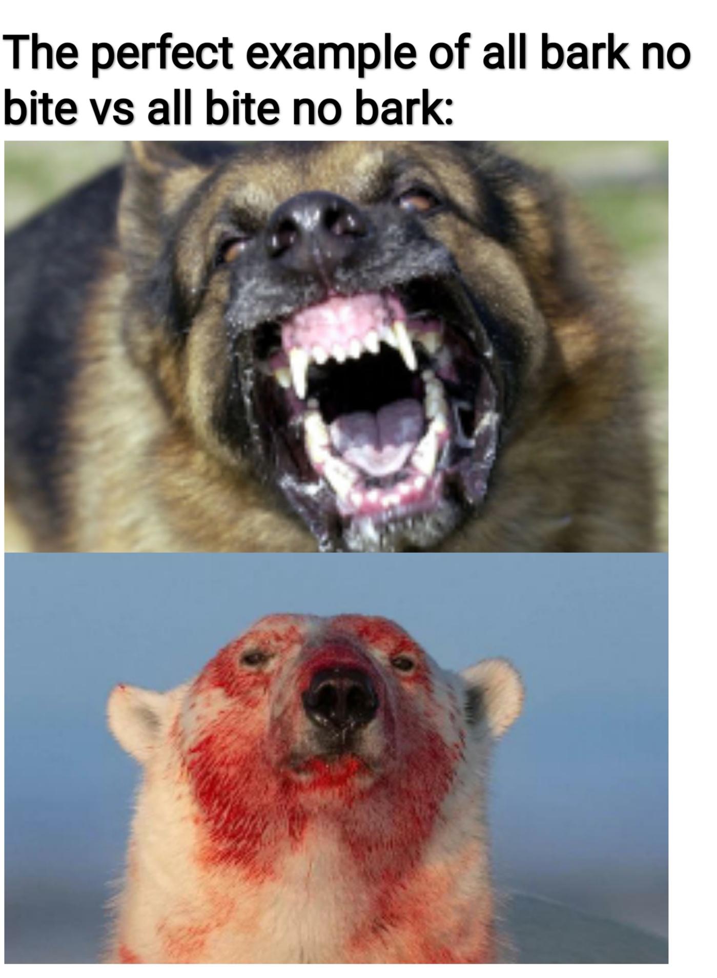 Open bark bite comparison