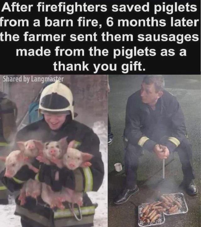 pigs sausages thank you