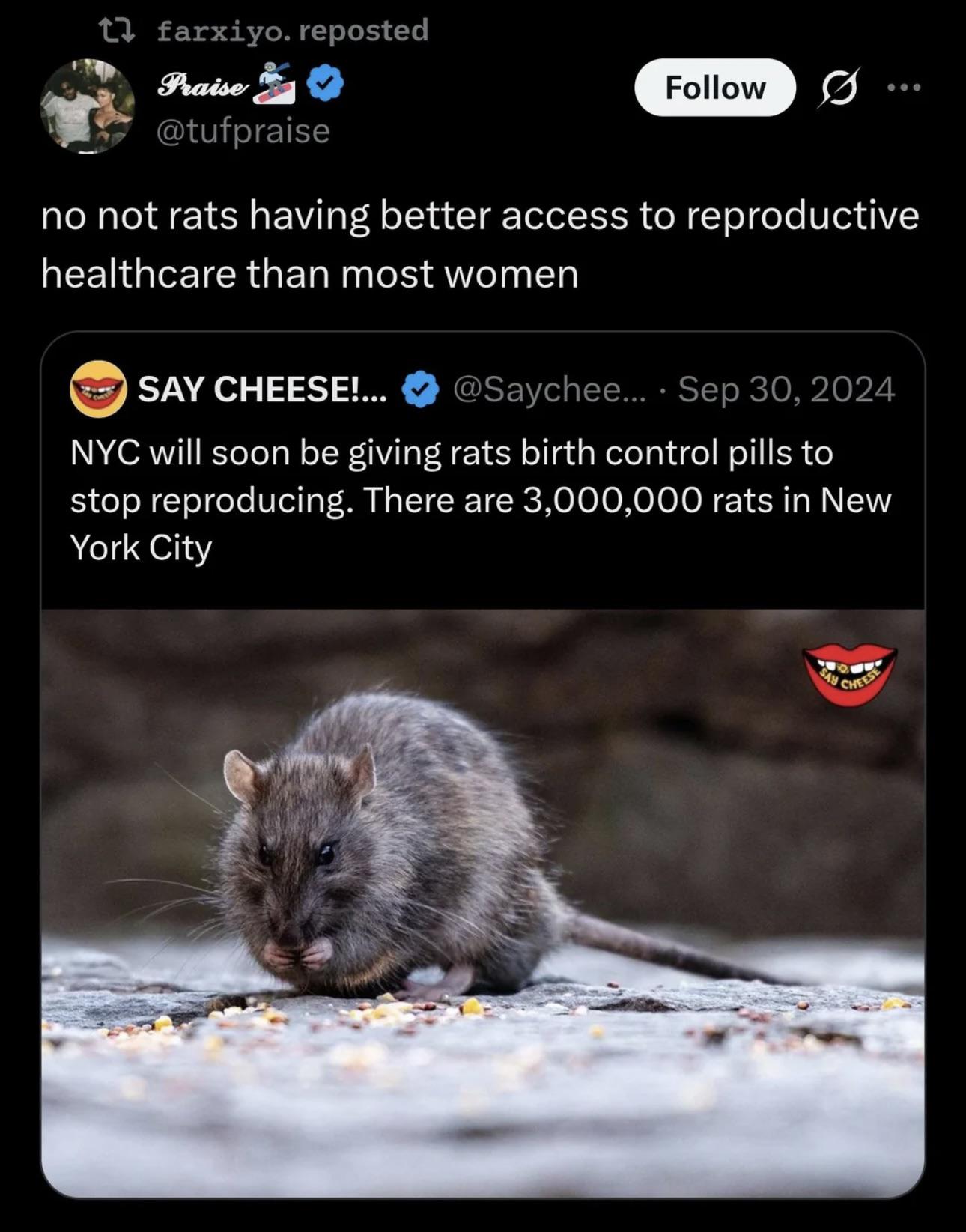 Open rats reproductive rights nyc