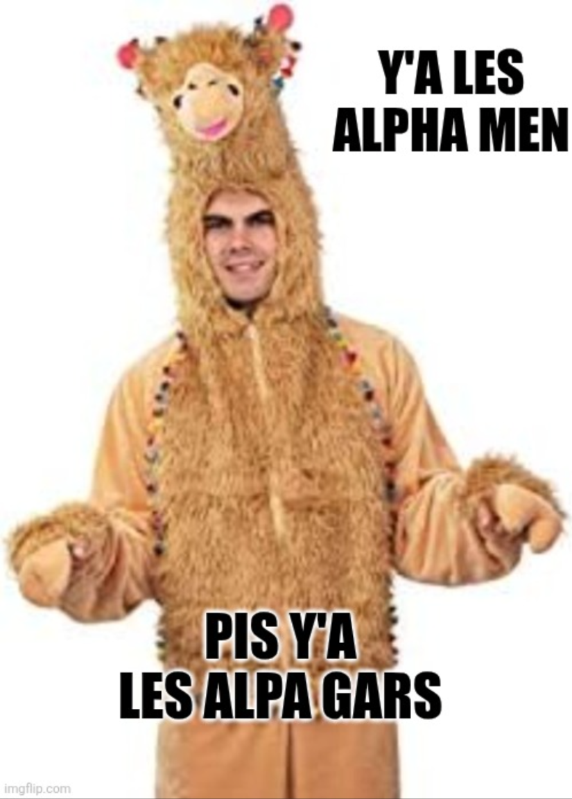 Open alpa gars vs alpha men