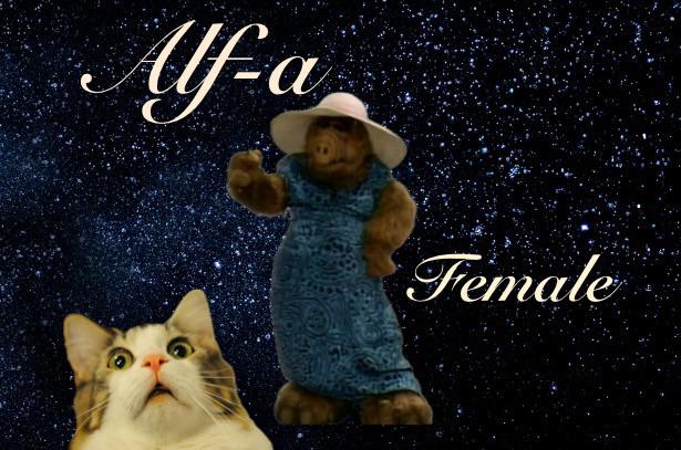 Open alpha female response