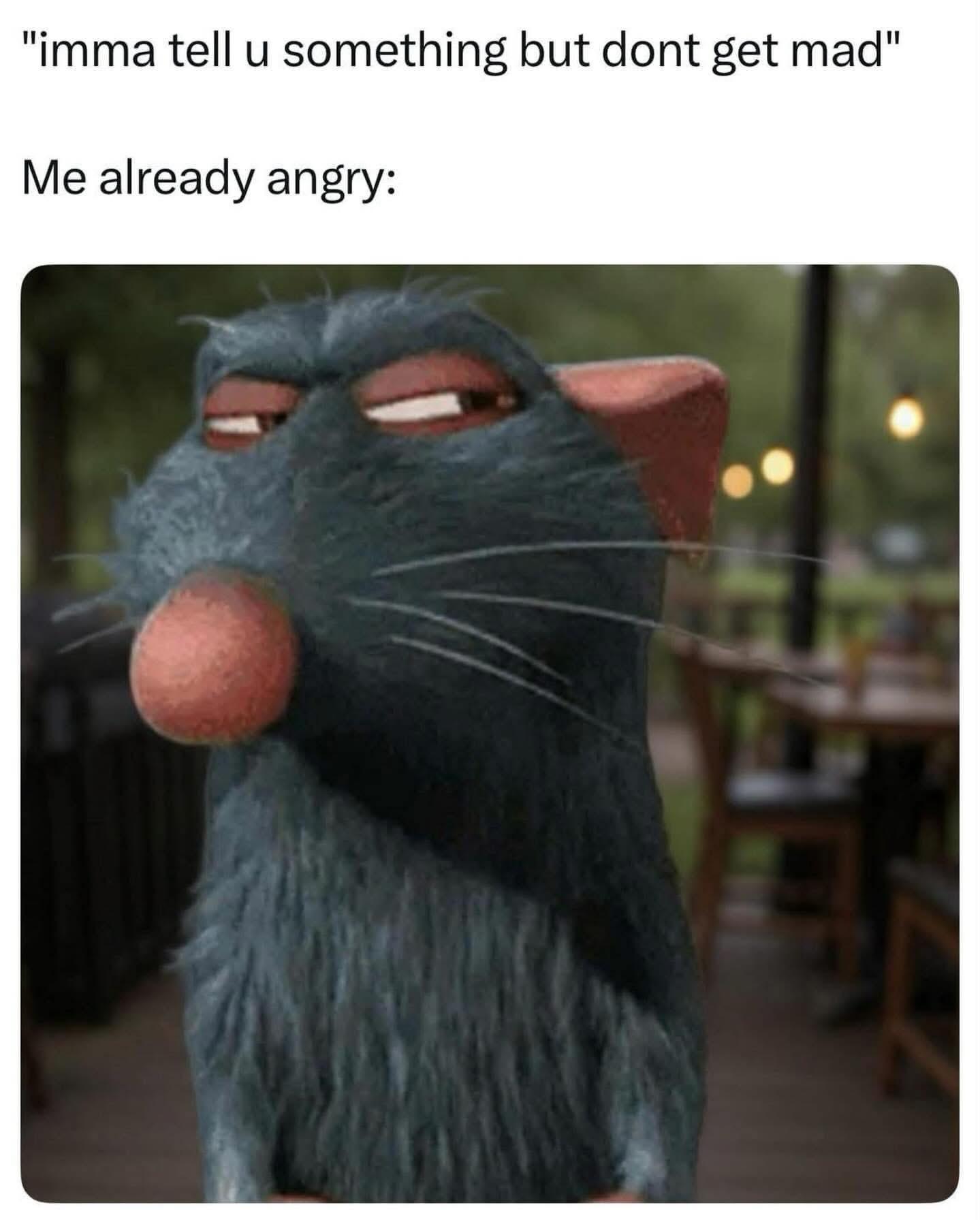 Open angry cat meme