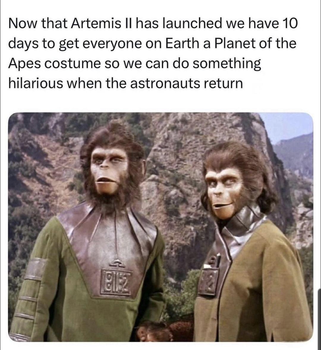 Open apes ready for artemis
