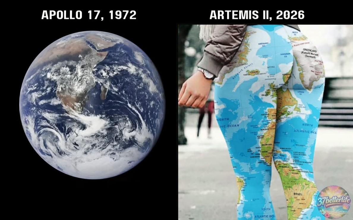 Open apollo vs artemis