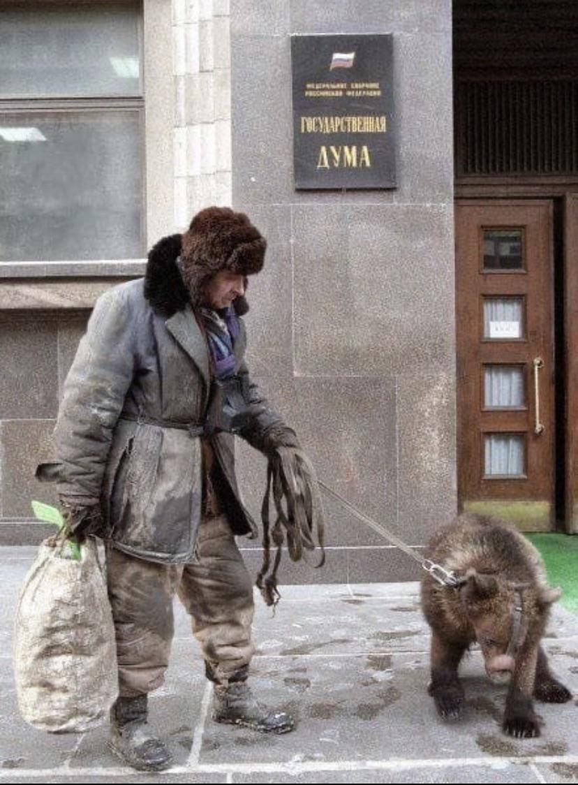 Open bear eats opposition