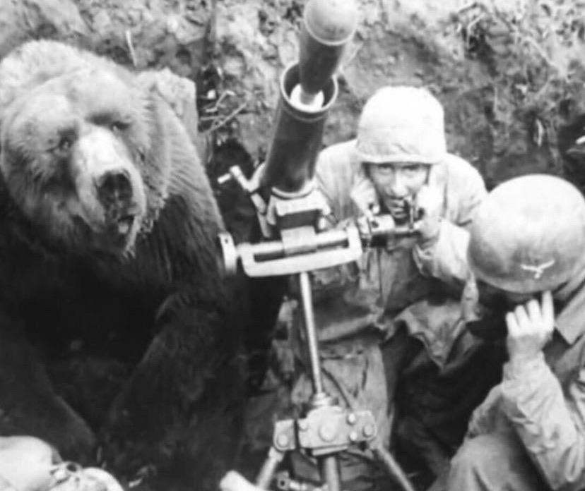 Open bear mortar shooting