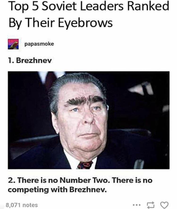 Open brezhnev eyebrows soviet leaders