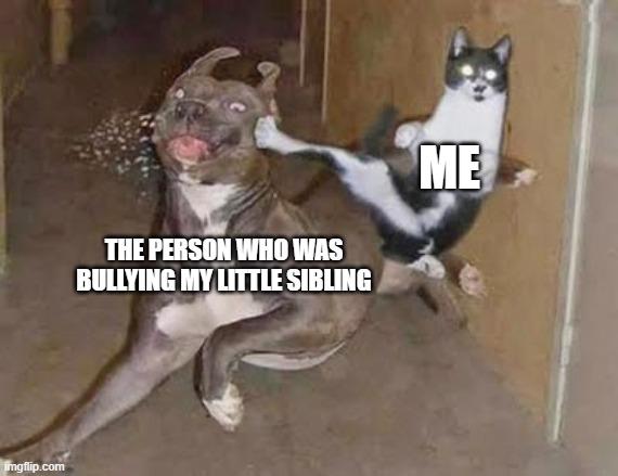Open bully little sibling confrontation
