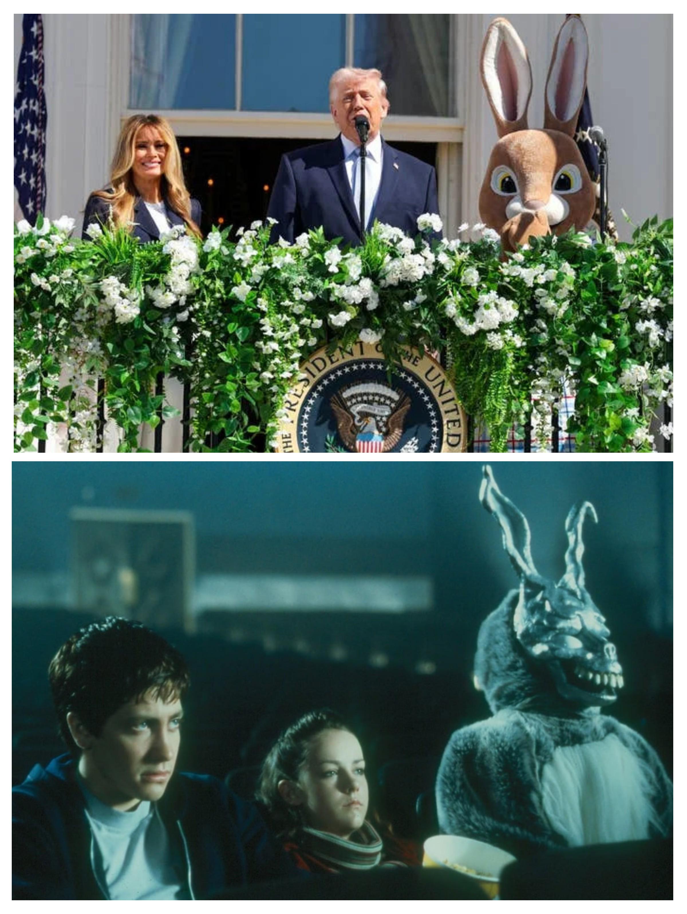 Open bunnies daddies meme