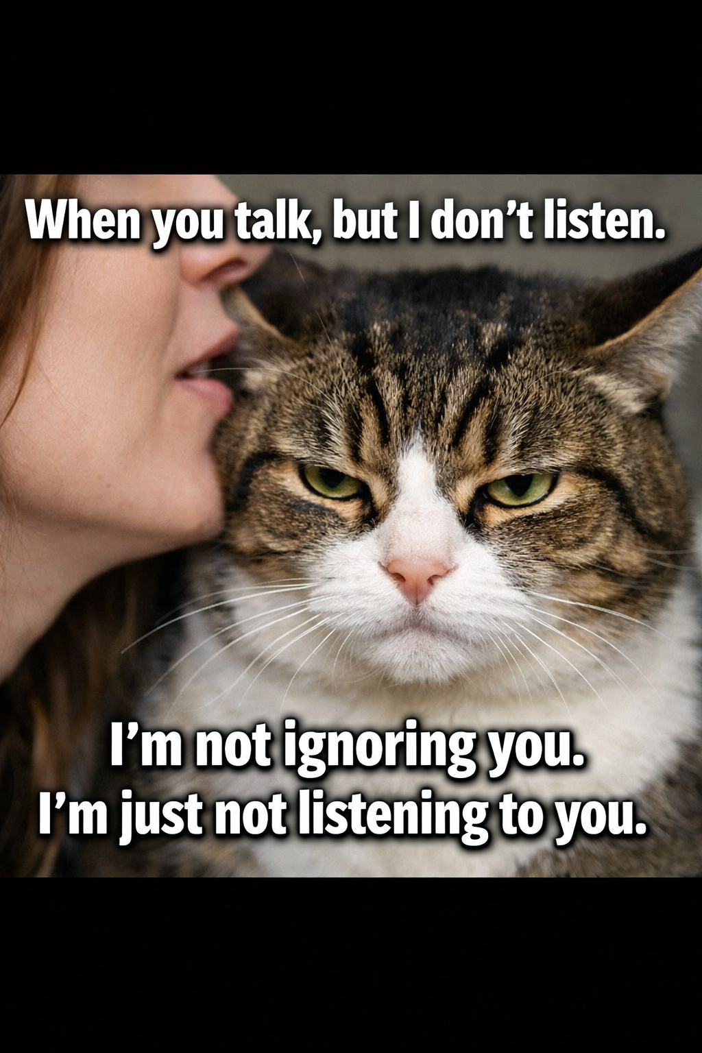 Open cat not listening