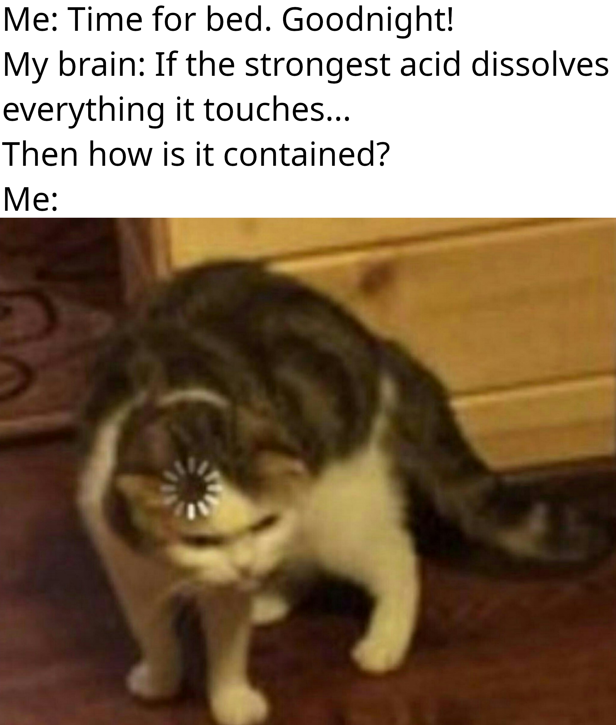 Open cat thinking at night