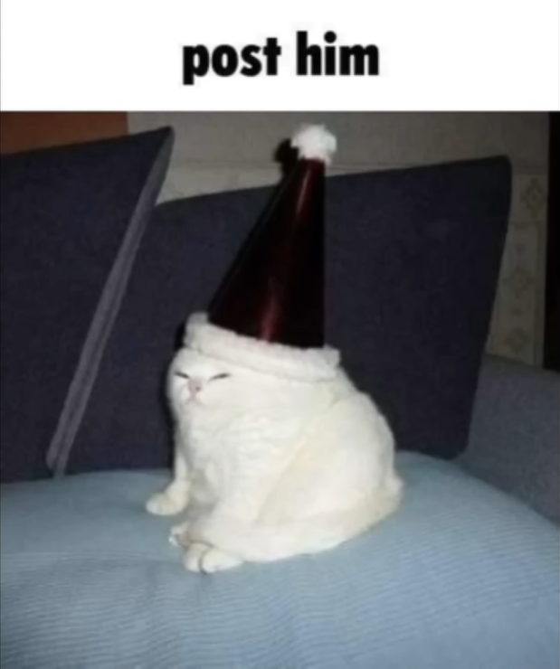 Open cat wearing party hat