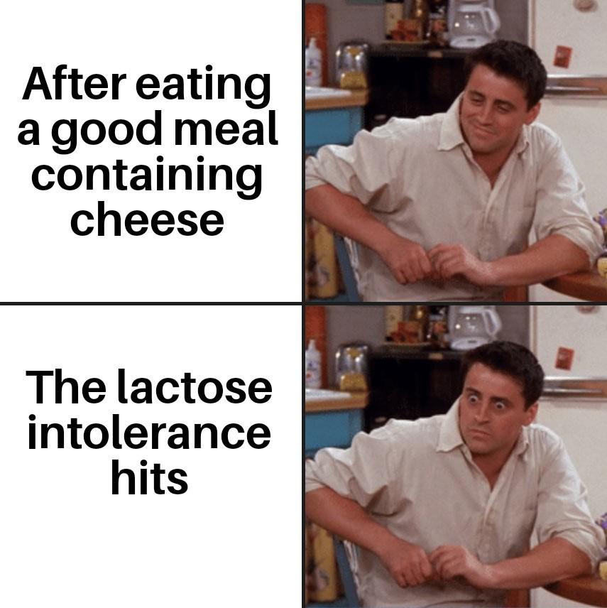 Open cheese meal high contrast