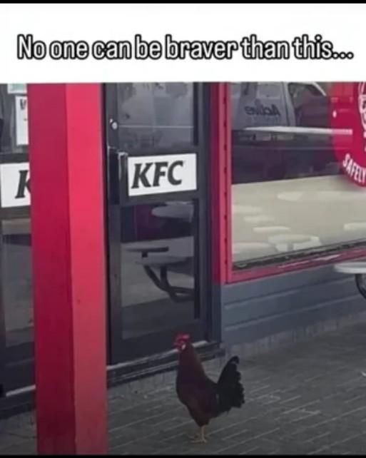 Open chicken kfc bravery