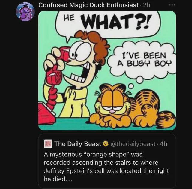 Open confused magic duck enthusiast what