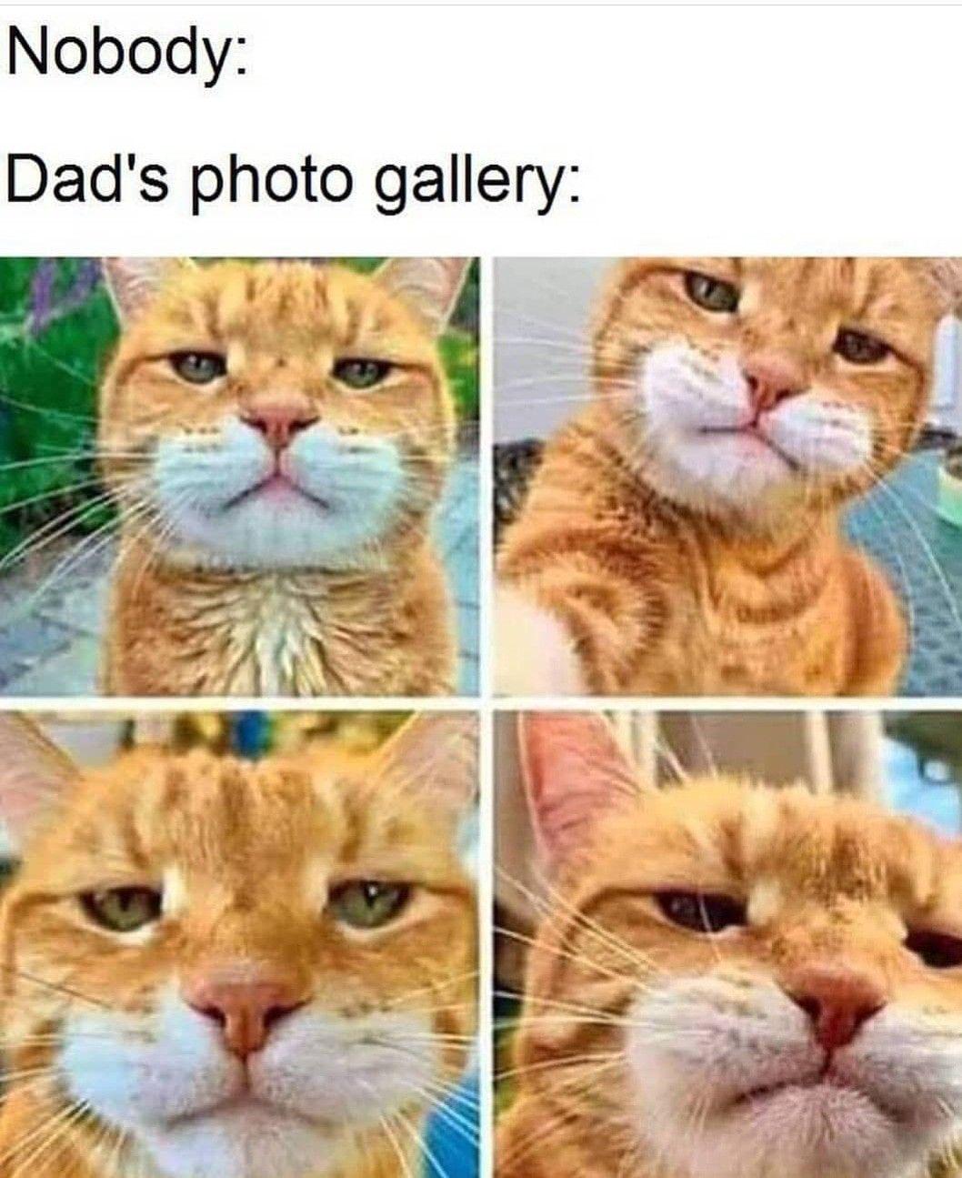 Open dads photo gallery meme
