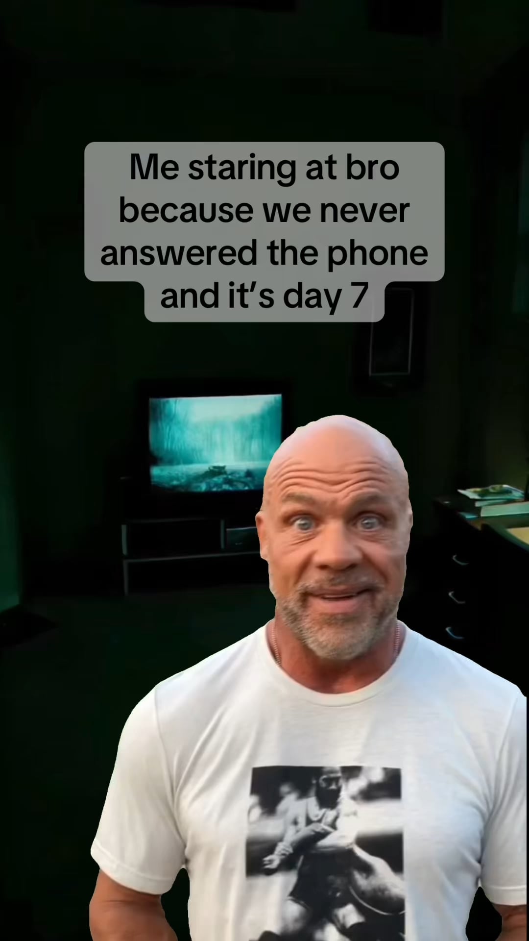 Open day seven stare