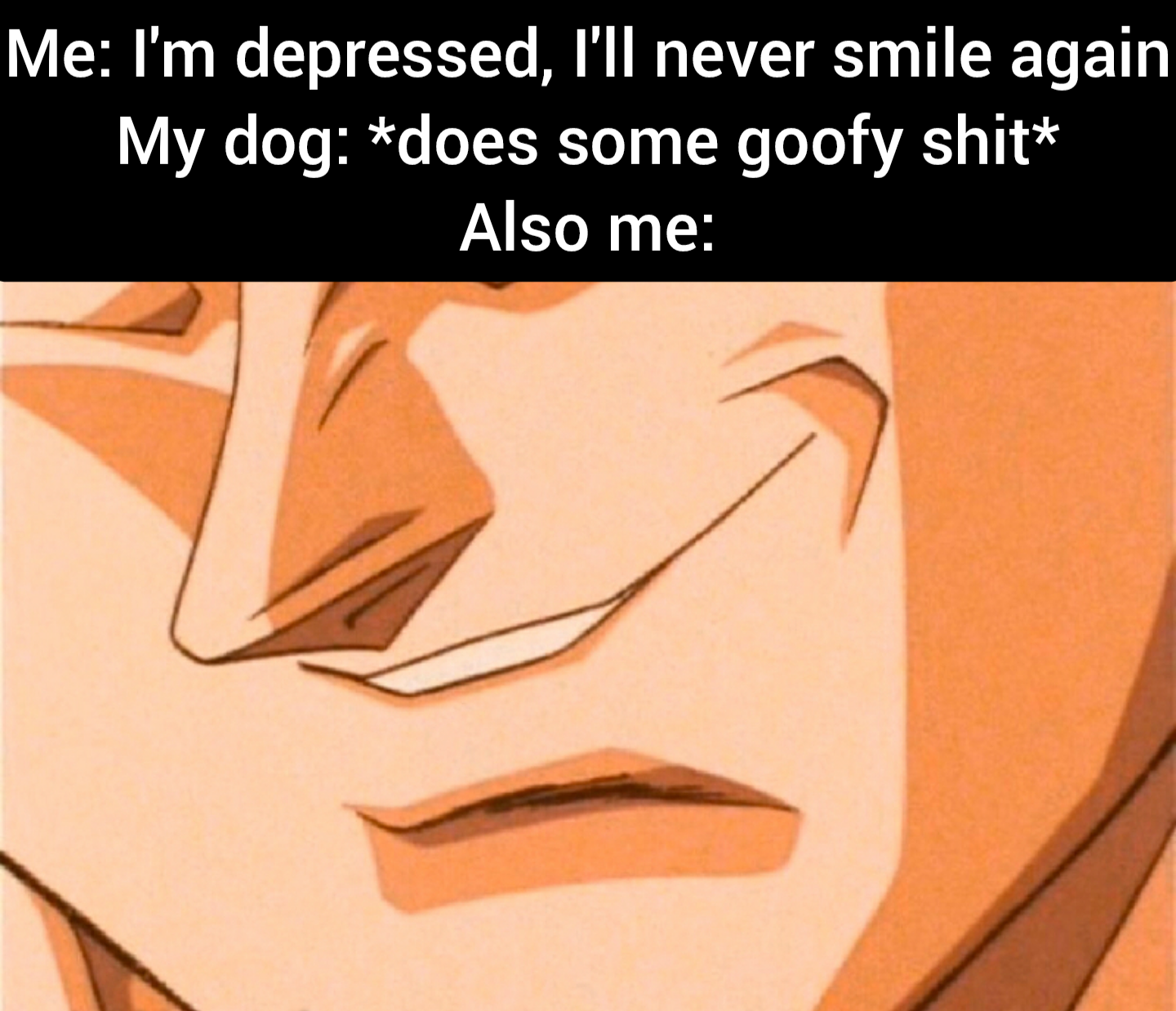 Open depressed dog joy