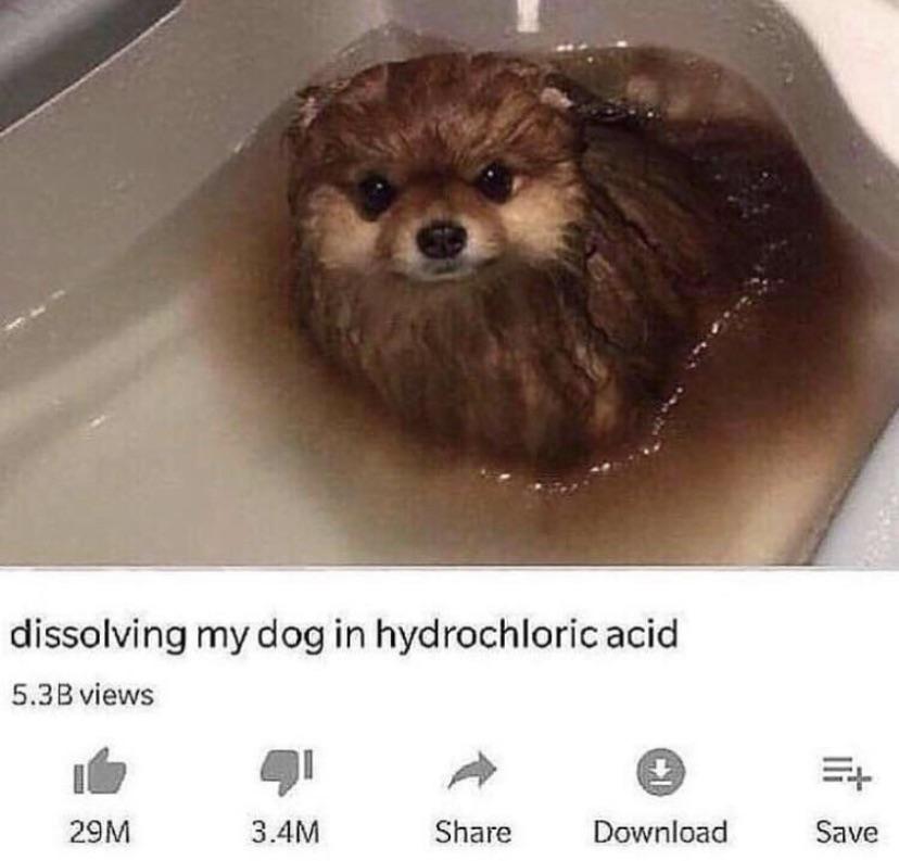 Open dissolving dog acid