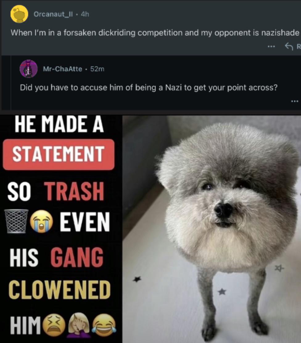 Open dog dog competition