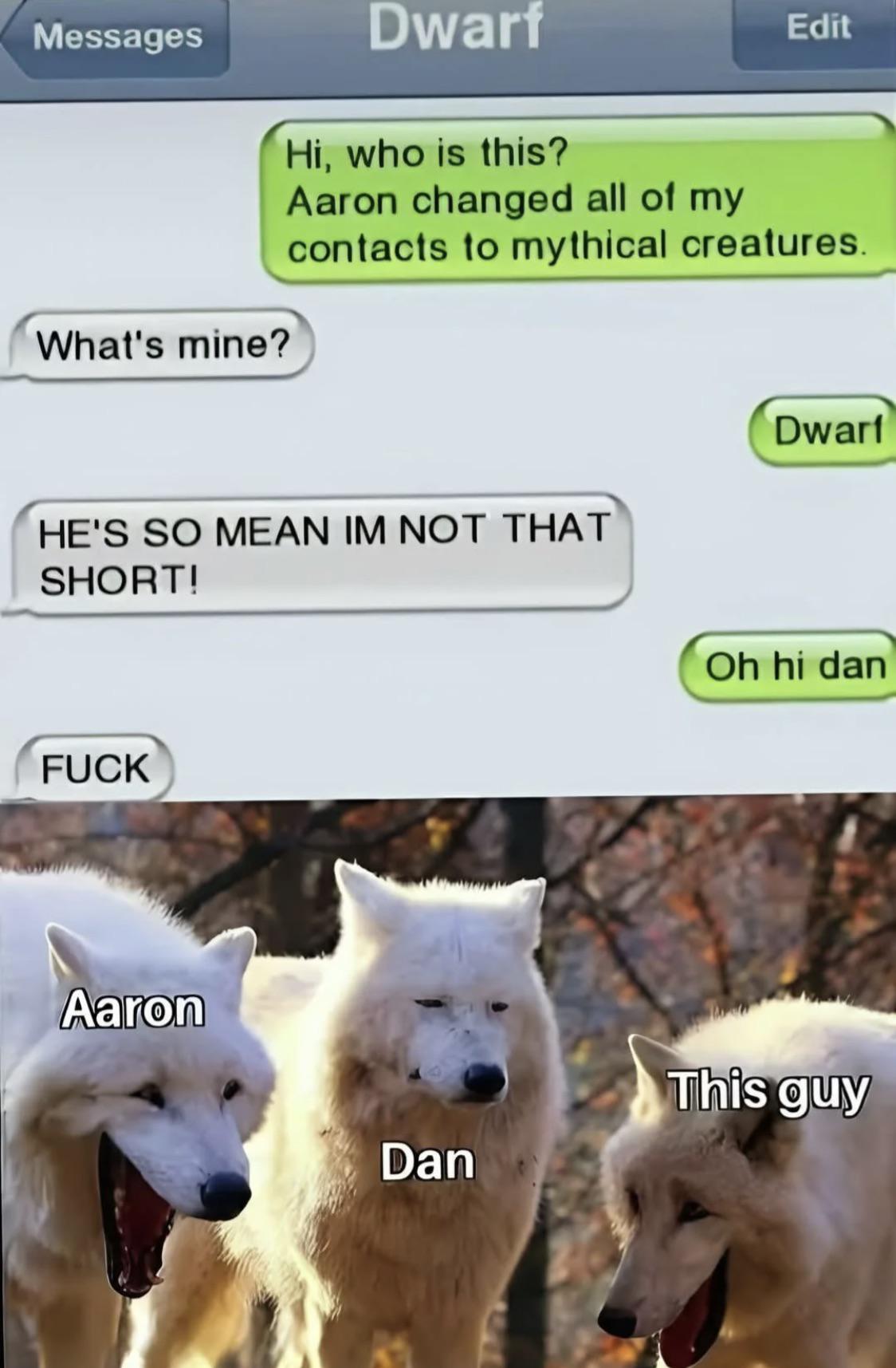 Open dog group dispute