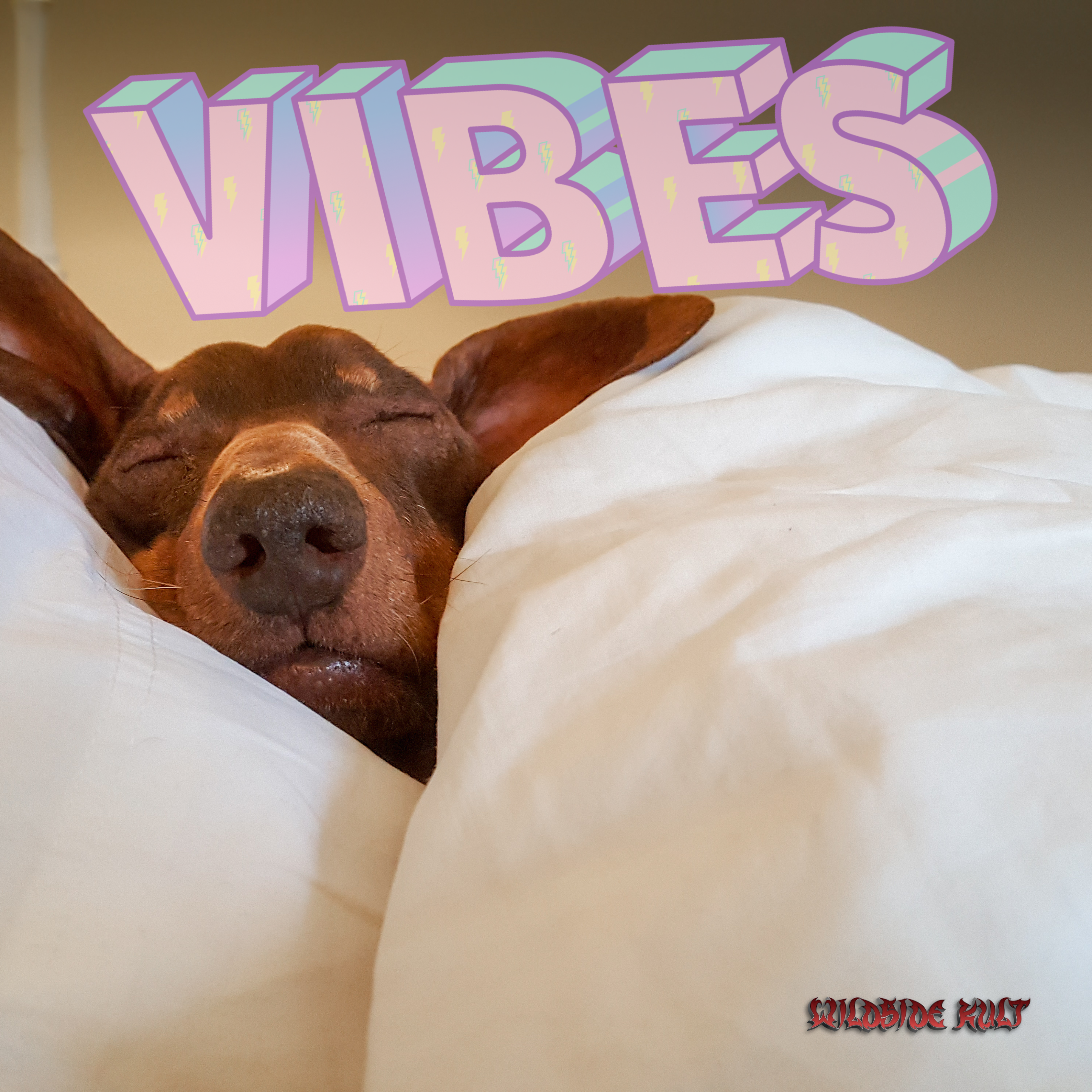 Open dog in bed vibes