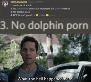Open dolphins porn error