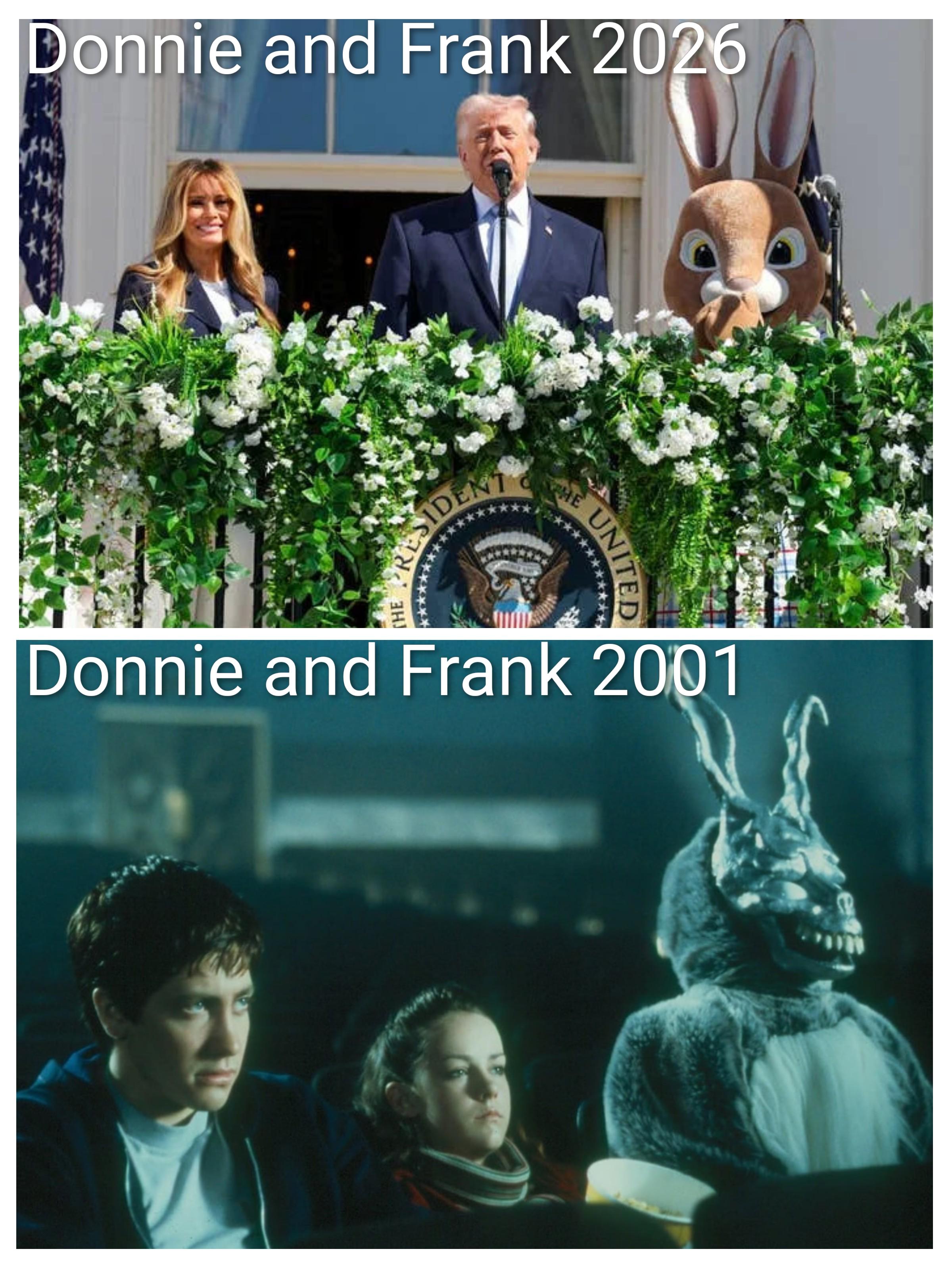 Open donnie frank 2001