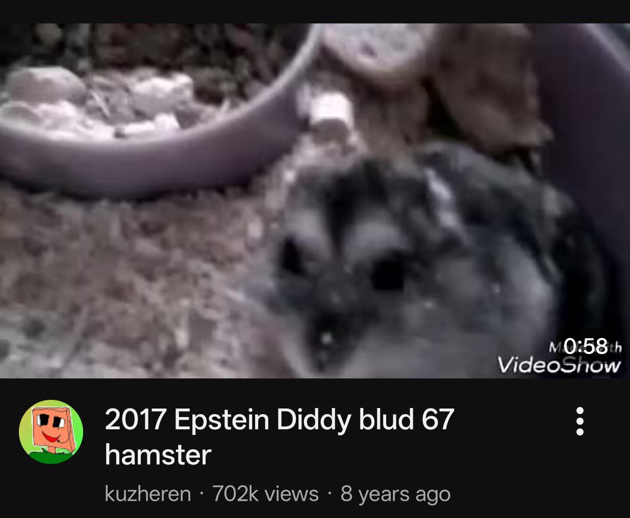 Open epstein diddy hamster