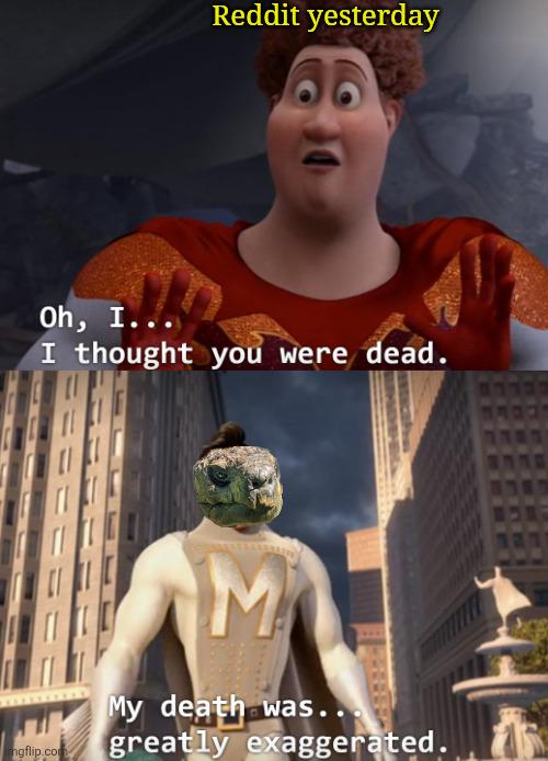 Open false alarm crypto scam