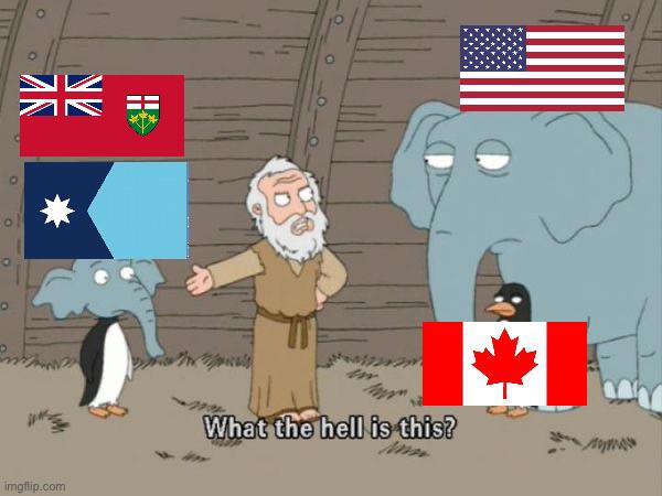 Open flags what the hell is this