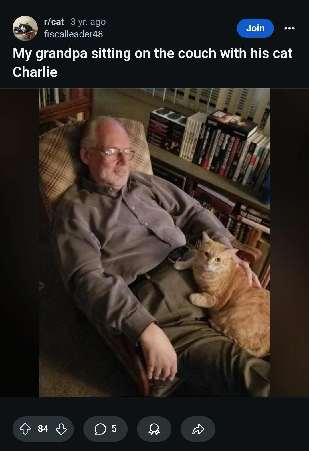 Open grandpa cat cuddle