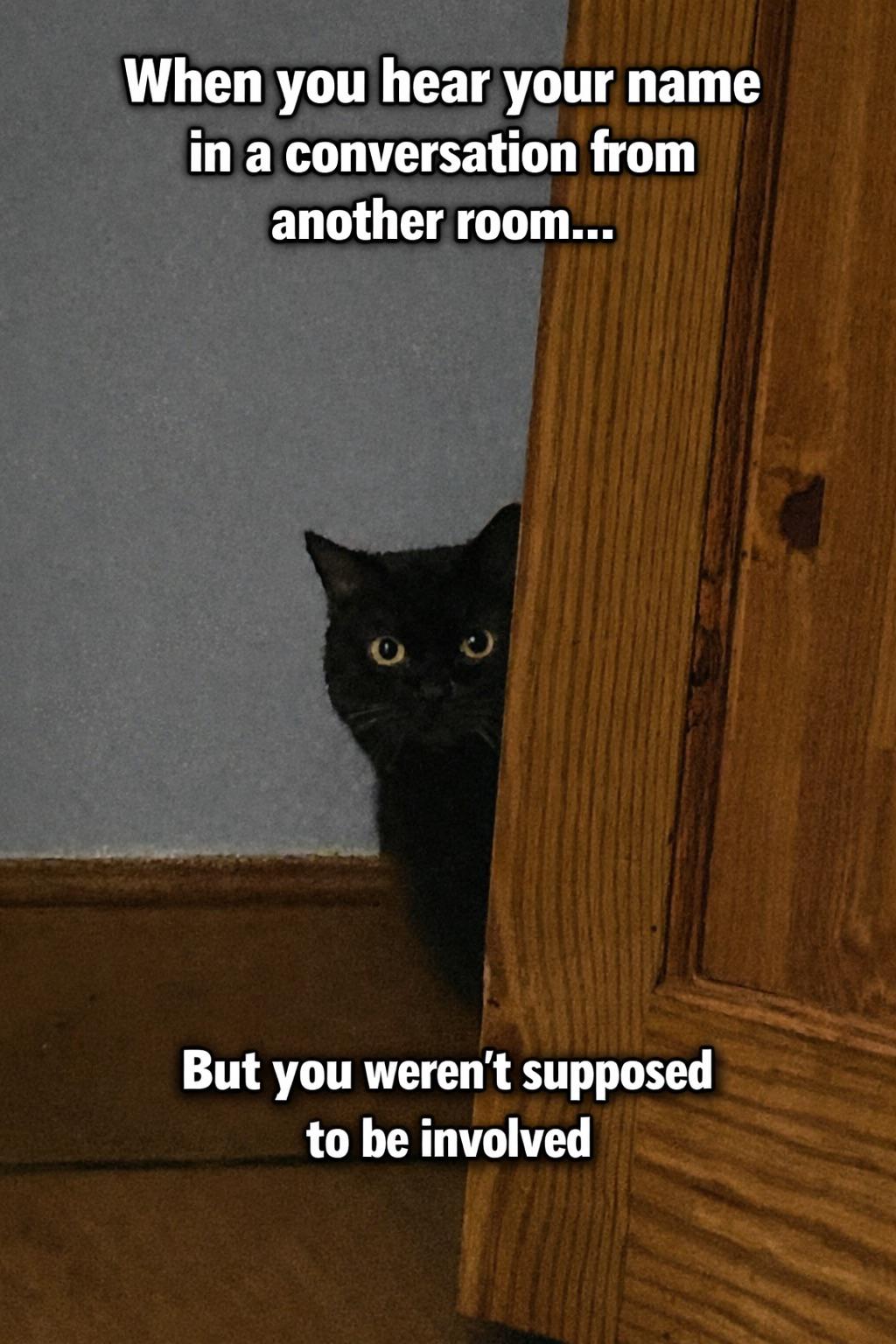 Open hearing name other room