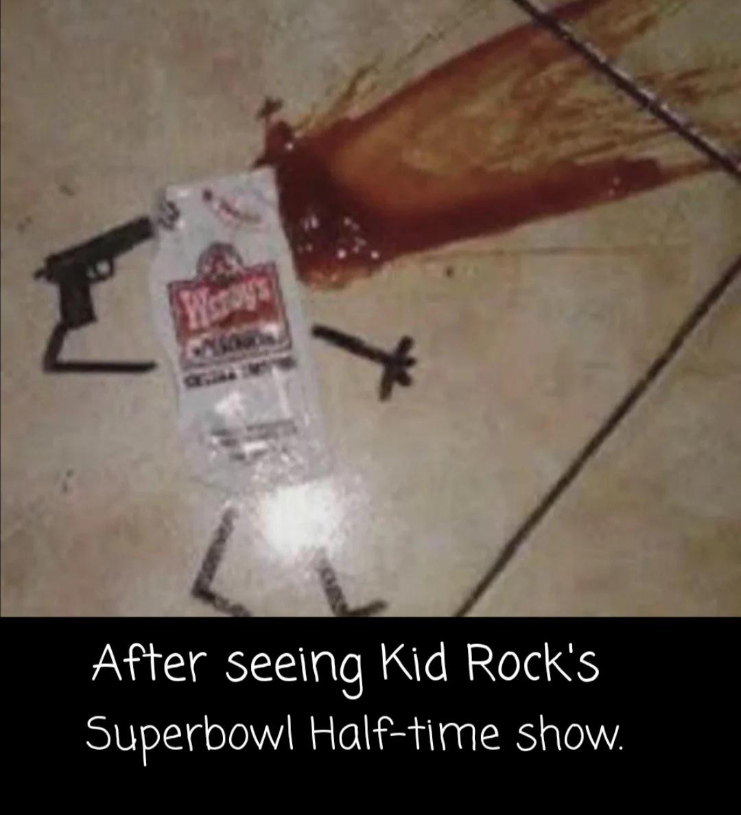 Open kid rock superbowl show