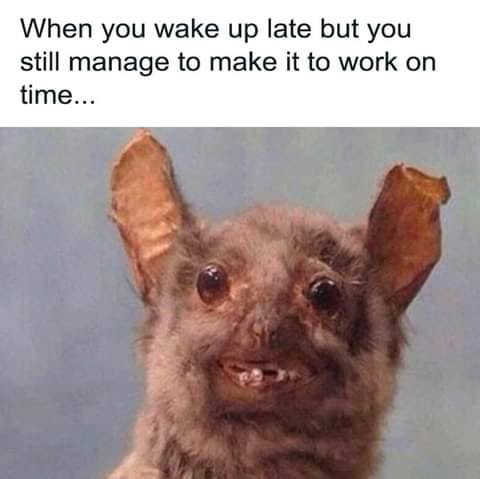Open late to work struggle