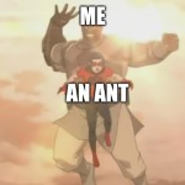 Open me an ant
