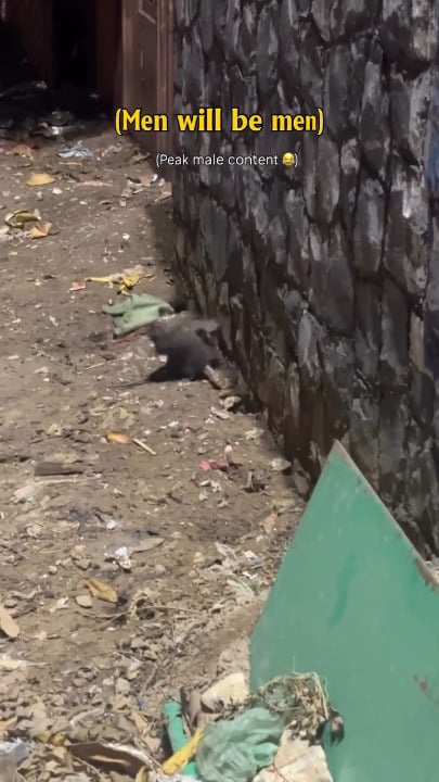 Open men will be men scene