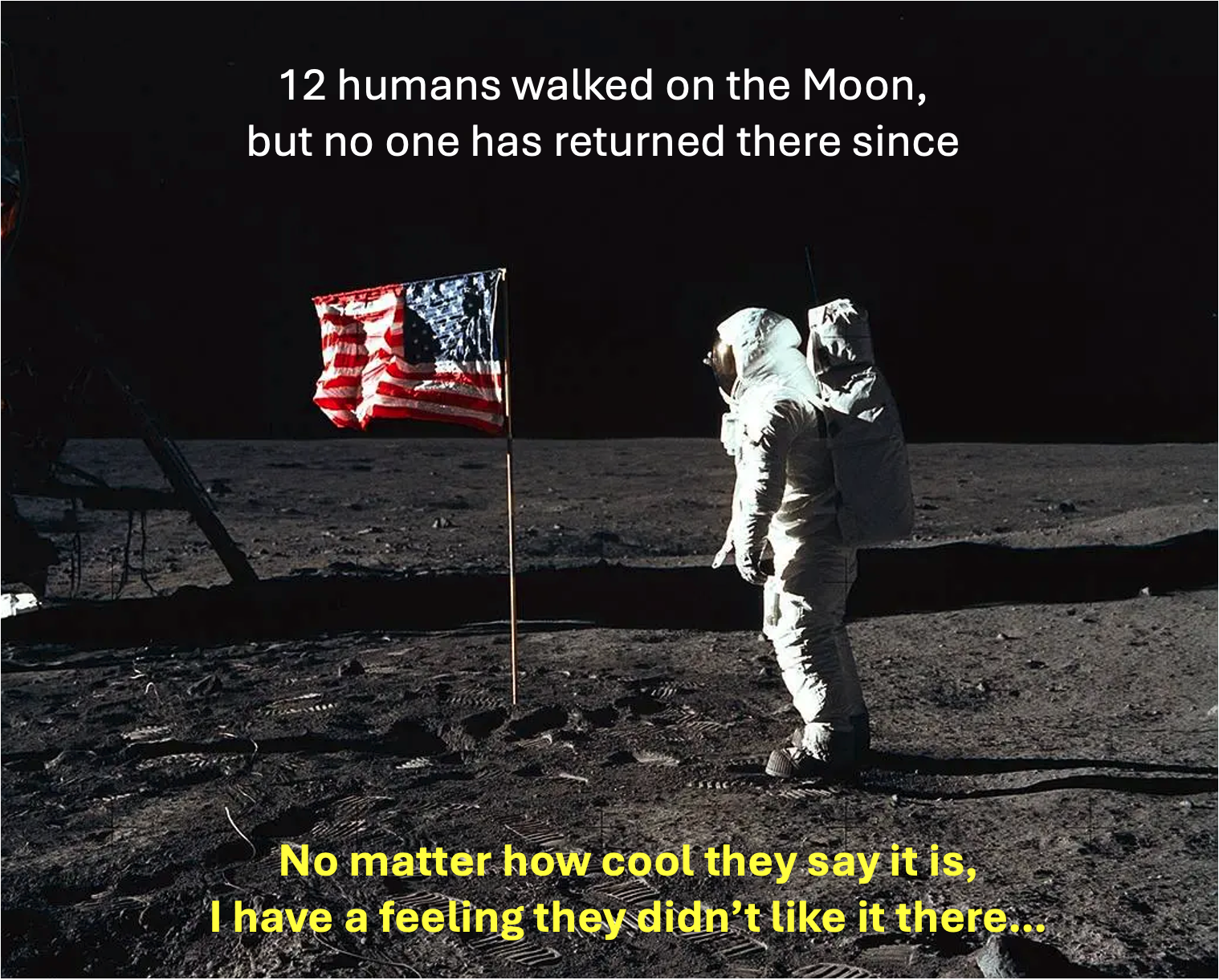 Open moon wasnt a vibe