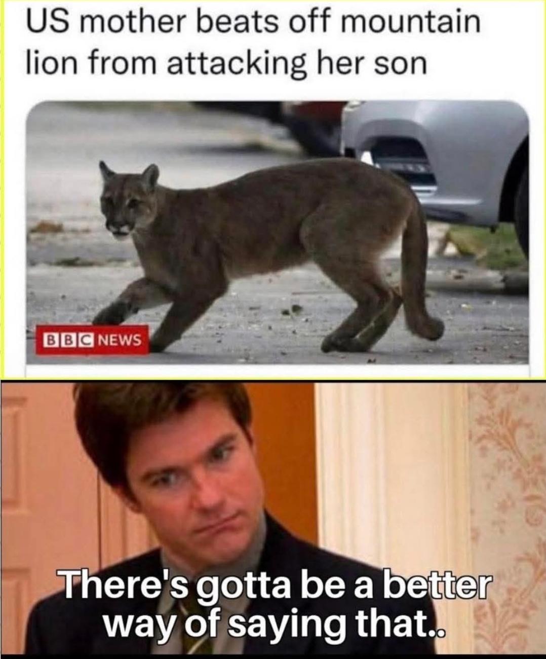 Open mother beats mountain lion