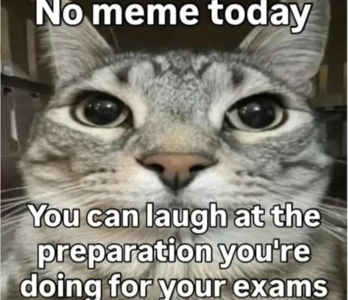 Open no meme today exam prep