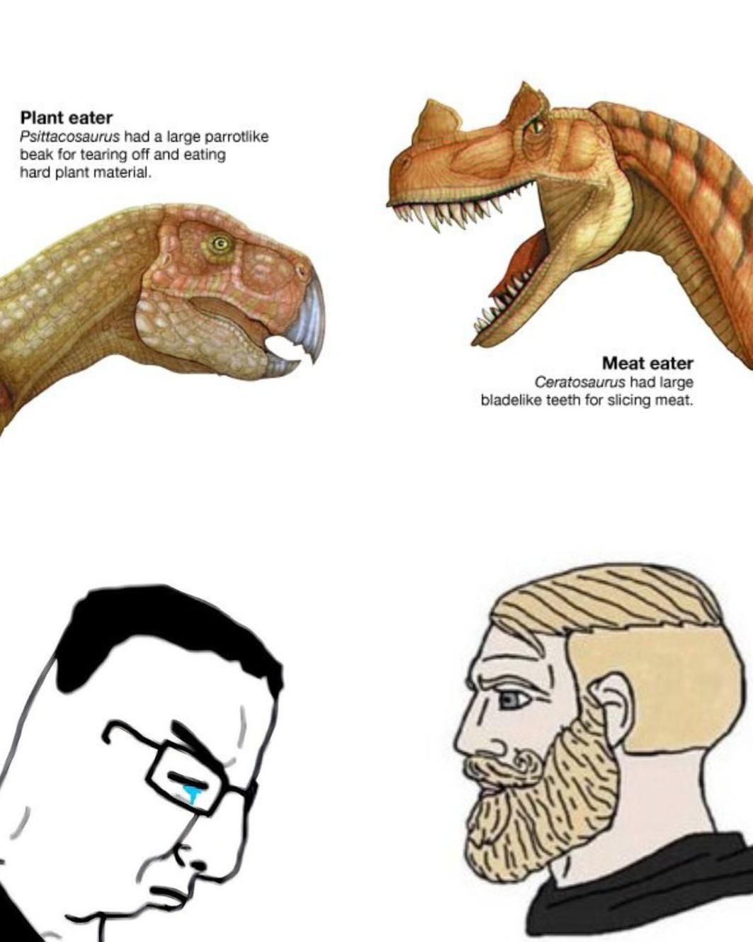 Open paleo diet choice