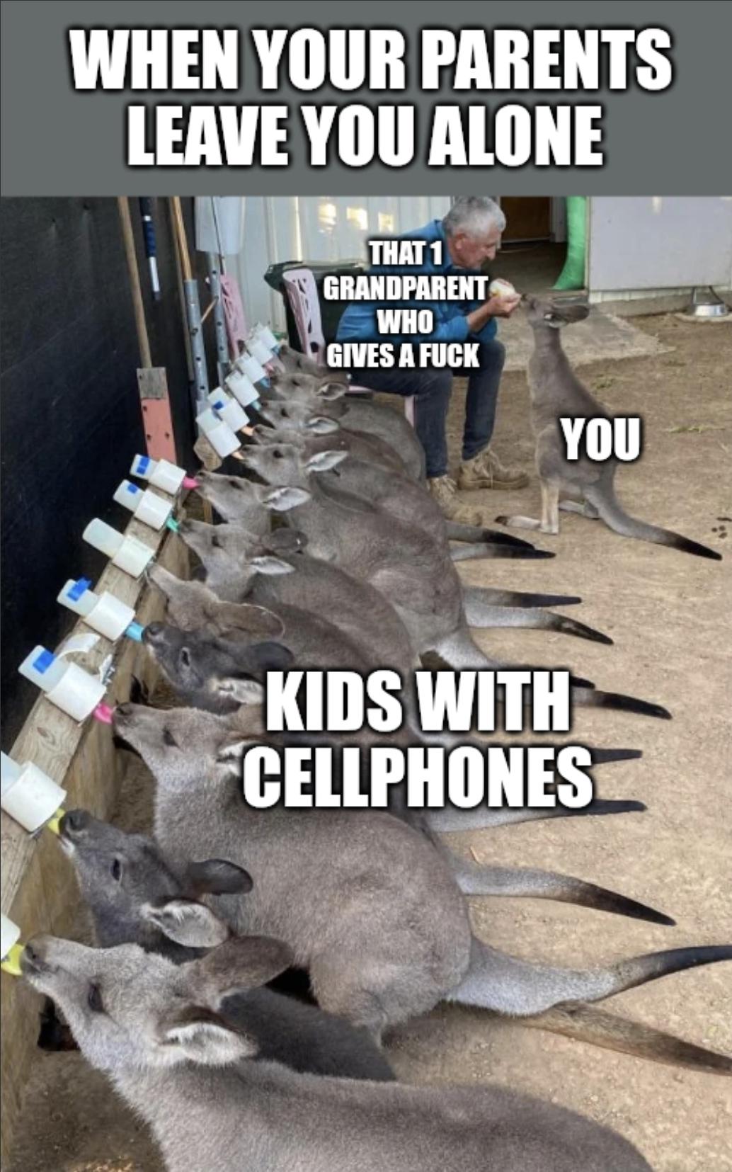 Open parents leave kids cellphones alone