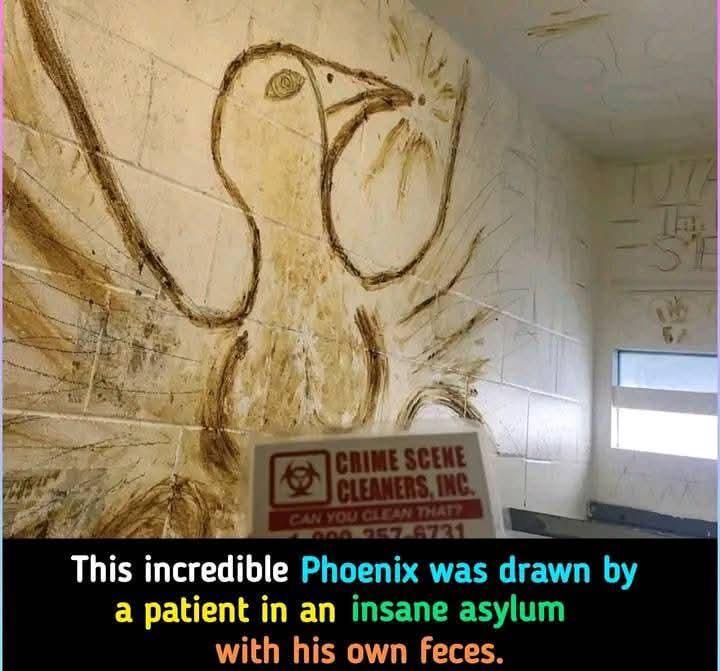 Open prison feces art