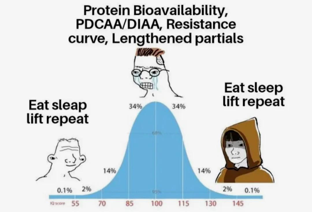 Open protein absorption curve