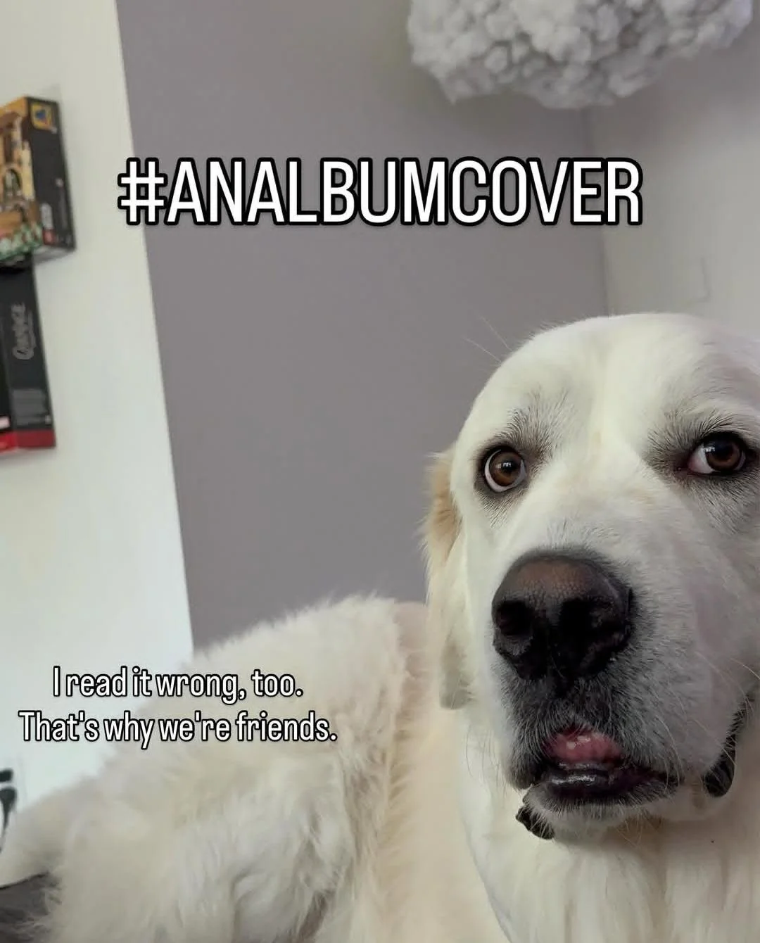 Open read it wrong dog