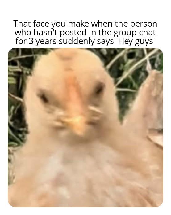 Open returning to group chat face