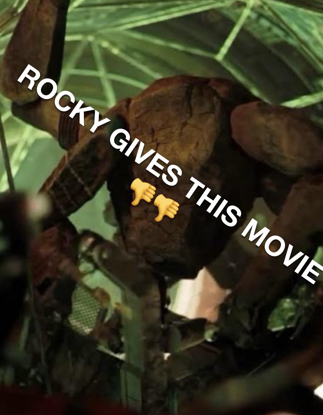 Open rocky gives this movie