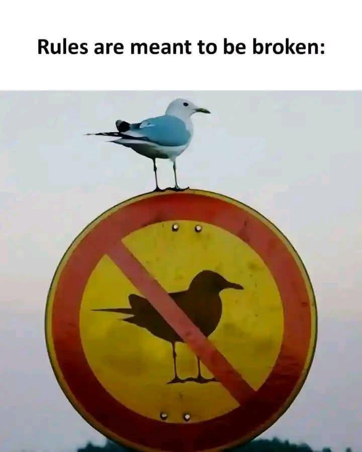 Open rules meant break