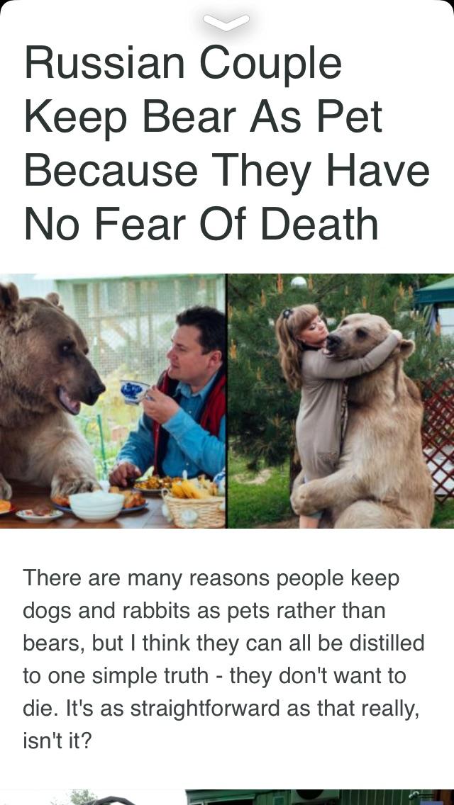 Open russian couple bear pet