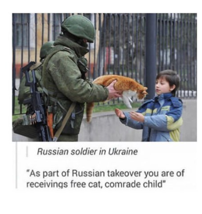 Open russian soldier ukraine cat